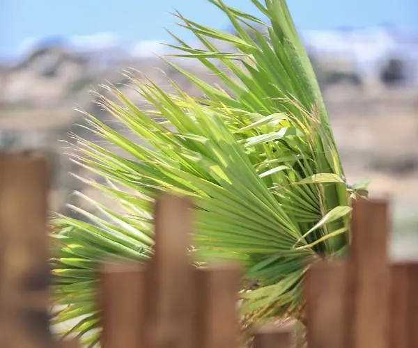 וילה The George With Private Pool, Close To - Chora